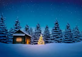 It means that now you do not have to opt for one type of solar lighting but you actually have quite a wide choice tailored to different functional and aesthetical. Have Yourself An Eco Little Christmas With Solar Powered Christmas Lights