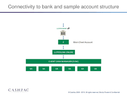 Connectivity To Bank And Sample Account Structure Ppt Download