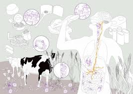 They live in nearly every available habitat on earth—including deep seas, tropical rainforests. Iabr