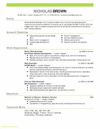 resume examples developer resume