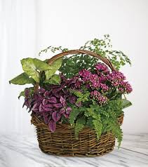 Janet Louise Bone Obituary October 19, 2024