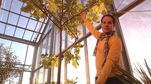 Und auch für erwerbsgärtner ist es interessant, z.b. Haus Im Glashaus Ratgeber Haus Garten Ard Das Erste