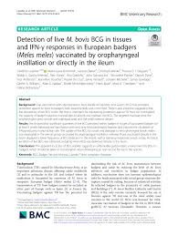 Pdf Detection Of Live M Bovis Bcg In Tissues And Ifn G Responses In European Badgers Meles Meles Vaccinated By Oropharyngeal Instillation Or Directly In The Ileum