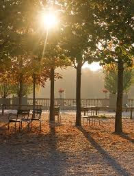 Giardini Di Lussemburgo La Risata Piu Lunga Della Mia Vita Avec Images Jardin Du Luxembourg Jardin Du Luxembourg Paris Jardin Luxembourg