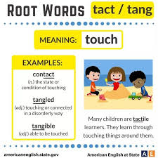 Root Words Tact And Tang English Vocabulary Words Root Words Learn English