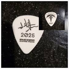 Even after a few Vodka tonics, I was able to pluck Michael's pick out of  thin air at the Eindhoven show. Maybe it was meant for me, or maybe I used  the