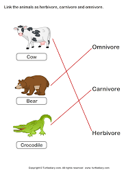 Food Chain Worksheet 3 Turtlediary Com Food Chain Worksheet Herbivore And Carnivore Animal Worksheets