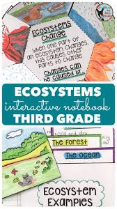 Ecosystems Science Interactive Notebook Grade 3 Interactive Science Notebook Interactive Notebooks Science Notebooks