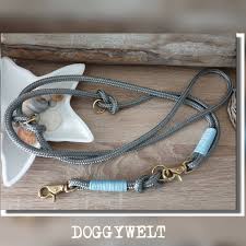 Halsband voor uw hond kopen? Doggywelt Hashtag On Twitter