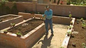 Learn What To Plant In Raised Beds In A Desert Vegetable Garden In This Video Vegetable Garden Raised Beds Desert Vegetable Garden Raised Vegetable Gardens