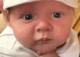 Successful Adoptions: Photolisting