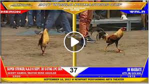 Maybe you would like to learn more about one of these? Watch 6 6m Kasado Gerry Ramos Mayor Nene Aguilar Vs Atty Jm Gov Kho World Of Gamefowl