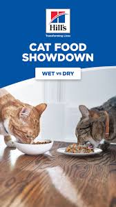 Should You Buy Wet Or Dry Cat Food In 2020 Dry Cat Food Cats Cat Food