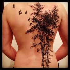 Aspen Trees Arbres Peuplier Chan Birch Tree Tattoos Aspen Trees Tattoo Tree Tattoo Designs