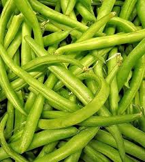 Haricot Vert Plantation Culture Et Recolte Truffaut