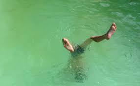 Piscine Qui Tourne Au Vert Comment Rattraper Le Coup En Moins De 24h00