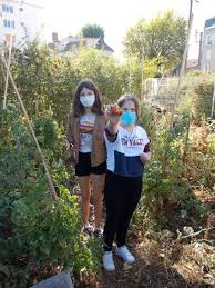 Collège victor duruy, collège général public à nice (06000) : Le Potager Et Le Jardin Pedagogiques Du College Victor Duruy à¤— à¤¹à¤ª à¤· à¤  Facebook