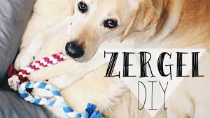 Weil „menscheneis für hunde nicht wirklich gut geeignet ist. Hundespielzeug Selber Machen Zergel Hunde Diy Scoubidou Youtube