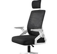 Silla Ejecutiva de Oficina Ergonomic Essential