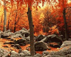 Pin On Autumn
