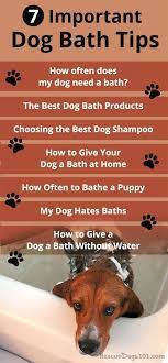 7 Important Dog Bathing Tips Dog Bath Dog Training Treats Homemade Best Dog Shampoo