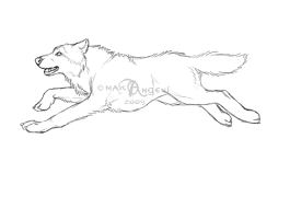 Millions customers found cartoon wolf templates &image for graphic design on pikbest. Running Wolf Art Google Search Wolf Running Dog Drawing Anime Wolf Drawing