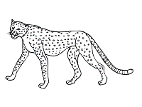 Warrior cats clans warrior cat oc horse coloring pages cat coloring page coloring sheets coloring book cat outline cat template 30 day drawing challenge. Big Cats And Wild Cats Coloring Pages And Printable Activities