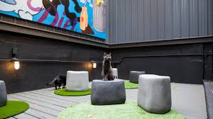 Please visit meow parlour & kononeko, open now, & little. Reservations Koneko Cat Cafe