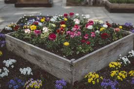 Repurposed bed spring craft ideas. 15 Inexpensive Raised Garden Bed Ideas Diy Raised Bed Garden Designs