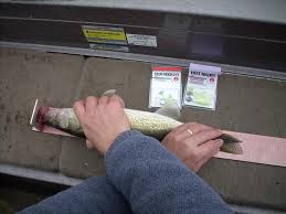 Fall Hog Haul Results.