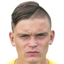 Harry Hammett FM 2020 Profile, Reviews