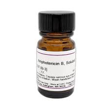 Image result for Amphotericin B