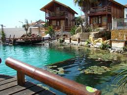 Natural Swimming Pools Designed With Nature Claudia Schwarzer From Bio Piscinas Gives Us A Detailed Account O Natural Swimming Pools Natural Pool Swimming Pond