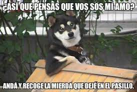 Los Perros La Tienen Clara Meme By Agustinsatorre Memedroid