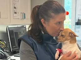 Fundraiser for Denise Kotwicki by Rose Zook : URGENT: help Denise keep her  car