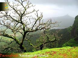 Pin On Odisha Tourism