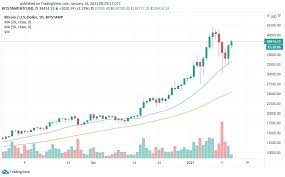 But as this cryptocurrency concept was new it was never like continuous growth in the price of btc, there were number of spikes(bullish phase) and downs(bearish phase) like share market, we all have witnessed. Bitcoin Btc Price Prediction And Analysis In February 2021 Elevenews
