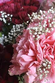White and green hydrangea, coral roses and green hypericum berries. Home Bloomstar