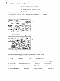 The Muscular System 6 The Muscular System 1 09 10 But Tension In The Muscle Keeps Increasing 11 Insert Your Answers In The Answer Blanks Pdf Document