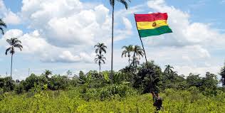El 17 de agosto se celebra el «día de la bandera» como fiesta nacional desde el 30 de julio de 1924 determinado por decreto supremo 4 en conmemoración del aniversario de creación de la primera bandera boliviana en 1825. Dia De La Bandera De Bolivia Que Significado Tiene Este Simbolo Patrio