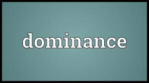 Dominance (countable and uncountable, plural dominances). Dominance Meaning Youtube