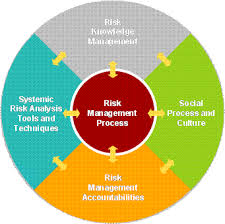 Pin On Risk Management Concepts