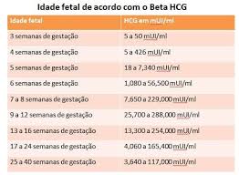 Beta Hcg Entenda O Resultado Do Exame De Gravidez