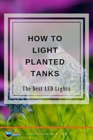 Best Led Light Fixtures For Planted Tanks Guide Reviews Fish Tank World Fish Tank Lights Fish Tank Led Aquarium Lighting