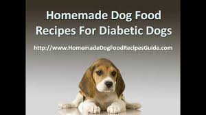 Although home recipes are notorious for being hard to prepare, in for example, take your dog for a walk! Homemade Dog Food Recipes For Diabetic Dogs Youtube