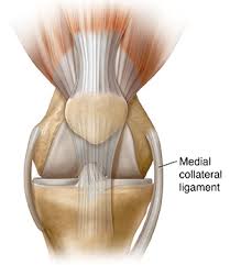 We did not find results for: Understanding Medial Collateral Ligament Sprain