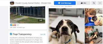 Access 87 trusted reviews, 30 photos & 13 tips from fellow rvers. Dog That Smiles Despite Being Shot In N C Gets Nickname Turns Out It S Her Real Name State Greensboro Com