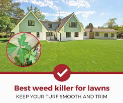 Eptc, commercially labeled as eptam, controls annual grasses, perennial weeds and broadleaf weeds in field crops, including clover. Top 5 Best Weed Killers For Your Lawn 2021 Review Pest Strategies