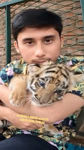 Cuteness overload ! Kelakuan tiger cub dan lion cub yang random dan gemesin  🐯🦁