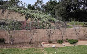 Check spelling or type a new query. Growing Fruit Trees In Southern California Greg Alder S Yard Posts Southern California Food Gardening